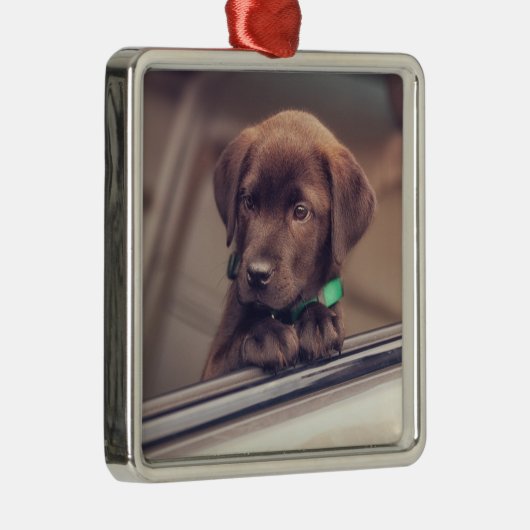 chocolade labrador puppy in auto metalen ornament (Rechts)