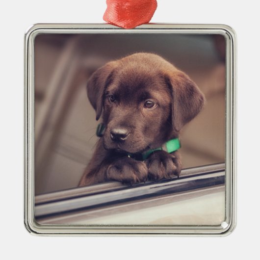 chocolade labrador puppy in auto metalen ornament (Voorkant)