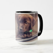 chocolade labrador puppy in auto mok (Voorkant rechts)