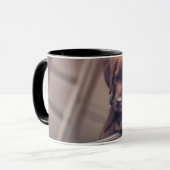 chocolade labrador puppy in auto mok (Voorkant links)