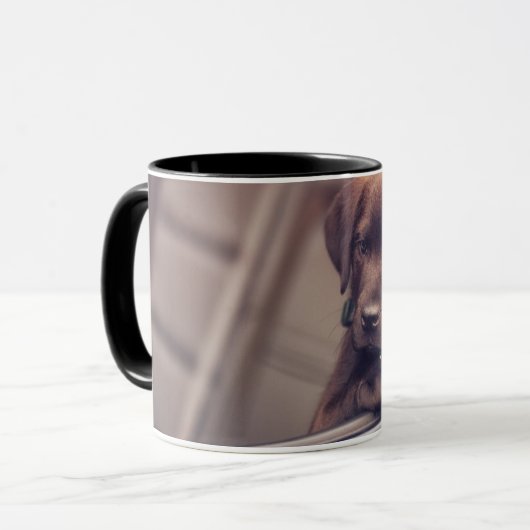 chocolade labrador puppy in auto mok (Voorkant links)