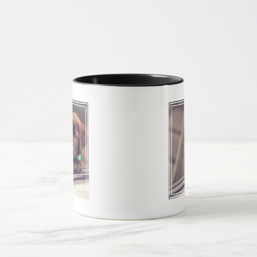 chocolade labrador puppy in auto mok (Midden)