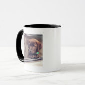 chocolade labrador puppy in auto mok (Voorkant links)