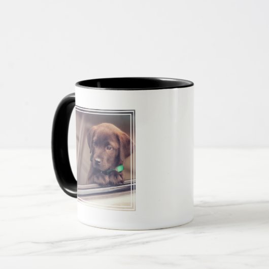 chocolade labrador puppy in auto mok (Voorkant links)