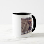 chocolade labrador puppy in auto mok (Voorkant rechts)