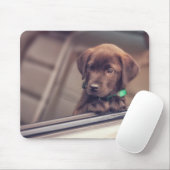 chocolade labrador puppy in auto muismat (Met muis)