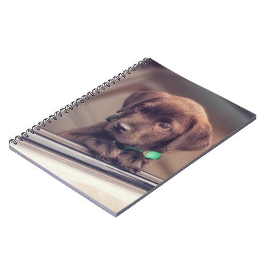 chocolade labrador puppy in auto notitieboek (Linkerzijde)