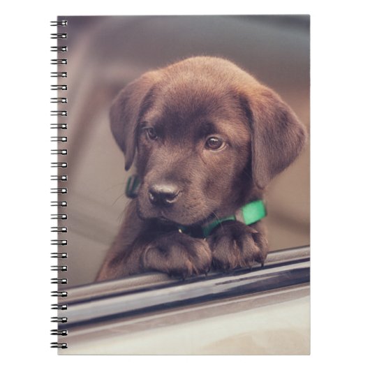 chocolade labrador puppy in auto notitieboek (Voorkant)