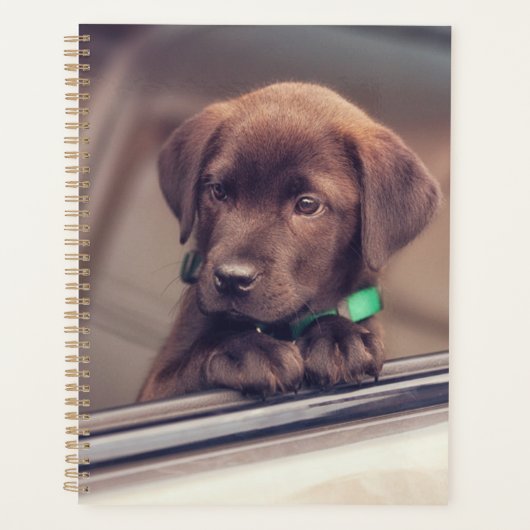 chocolade labrador puppy in auto planner (Voorkant)
