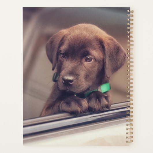 chocolade labrador puppy in auto planner (Achterkant)