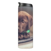 chocolade labrador puppy in auto thermosbeker (Geroteerd rechts)