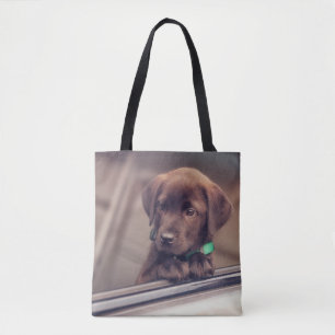 chocolade labrador puppy in auto tote bag