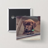 Chocolade Labrador Puppy In Auto Vierkante Button 5,1 Cm (Voorkant /achterkant)