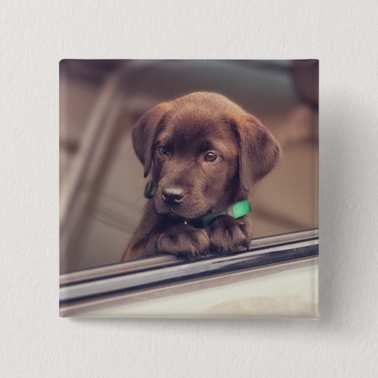 Chocolade Labrador Puppy In Auto Vierkante Button 5,1 Cm (Voorkant)