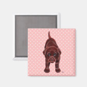 Chocolade Labrador Puppy Magneet (Voorkant / Achterkant)