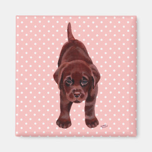Chocolade Labrador Puppy Magneet