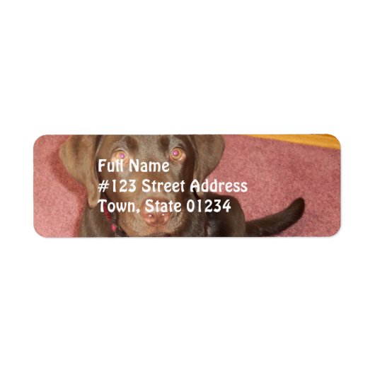 Chocolade Labrador Puppy Mailing Label (Voorkant)