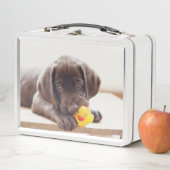 Chocolade Labrador Puppy met Speelgoed Duck (In situ)