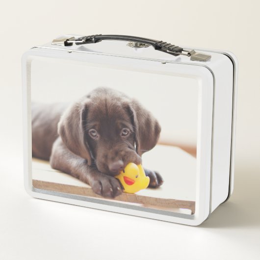 Chocolade Labrador Puppy met Speelgoed Duck (Achterkant)