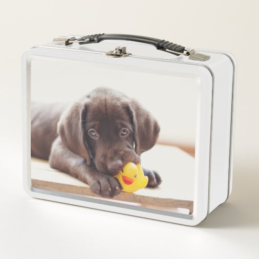Chocolade Labrador Puppy met Speelgoed Duck (Voorkant)