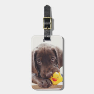 Chocolade Labrador Puppy met Speelgoed Duck Bagagelabel
