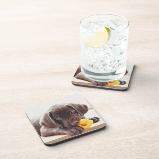 Chocolade Labrador Puppy met Speelgoed Duck Bier Onderzetter (Rechterzijde)