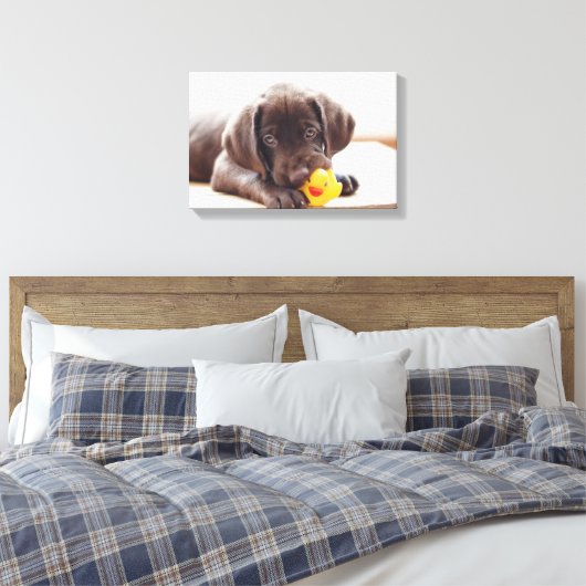Chocolade Labrador Puppy met Speelgoed Duck Canvas Afdruk (Insitu (Slaapkamer))