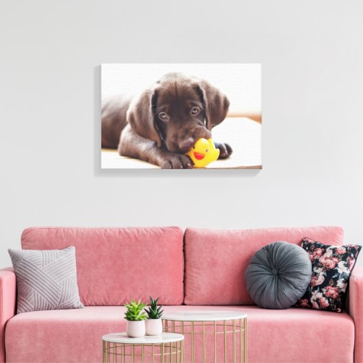 Chocolade Labrador Puppy met Speelgoed Duck Canvas Afdruk (Insitu (Woonkamer))