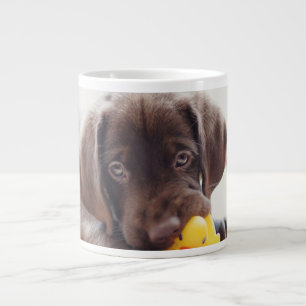 Chocolade Labrador Puppy met Speelgoed Duck Grote Koffiekop