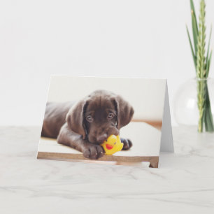 Chocolade Labrador Puppy met Speelgoed Duck Kaart