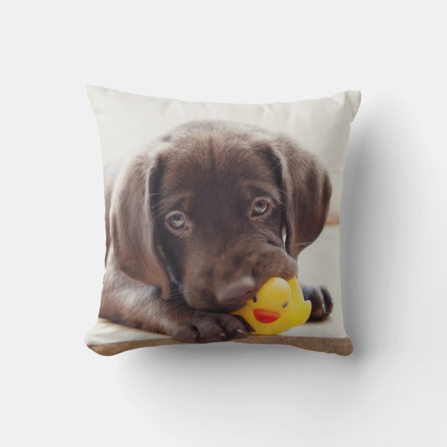 Chocolade Labrador Puppy met Speelgoed Duck Kussen (Voorkant)