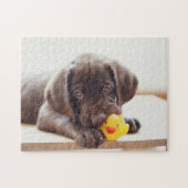 Chocolade Labrador Puppy met Speelgoed Duck Legpuzzel (Horizontaal)