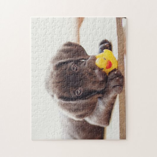 Chocolade Labrador Puppy met Speelgoed Duck Legpuzzel (Verticaal)