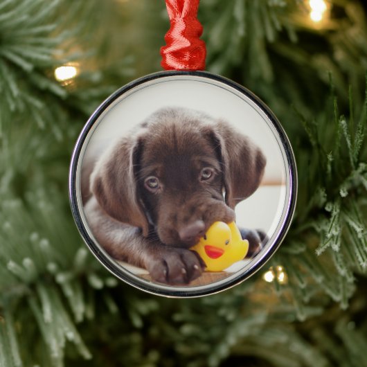 Chocolade Labrador Puppy met Speelgoed Duck Metalen Ornament (Boom)