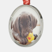 Chocolade Labrador Puppy met Speelgoed Duck Metalen Ornament (Links)
