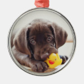 Chocolade Labrador Puppy met Speelgoed Duck Metalen Ornament (Voorkant)