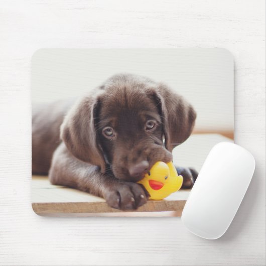 Chocolade Labrador Puppy met Speelgoed Duck Muismat (Met muis)