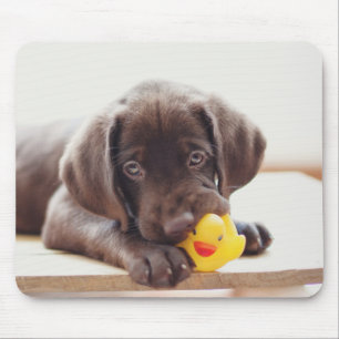 Chocolade Labrador Puppy met Speelgoed Duck Muismat