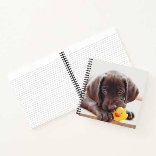 Chocolade Labrador Puppy met Speelgoed Duck Notitieboek (Binnen)