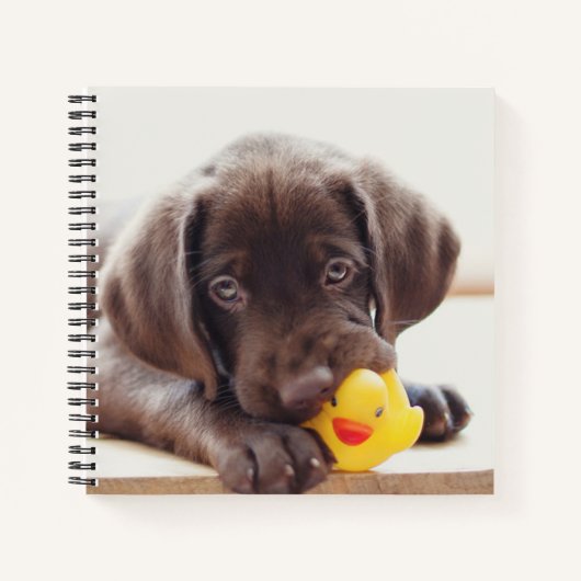 Chocolade Labrador Puppy met Speelgoed Duck Notitieboek (Voorkant)