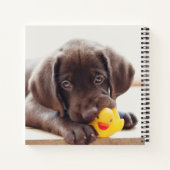 Chocolade Labrador Puppy met Speelgoed Duck Notitieboek (Achterkant)