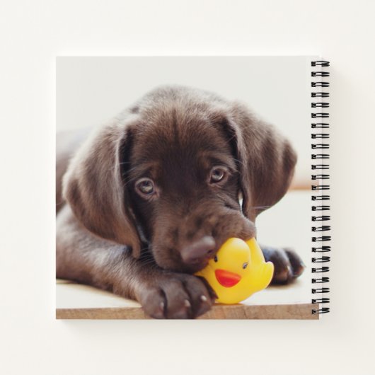 Chocolade Labrador Puppy met Speelgoed Duck Notitieboek (Achterkant)