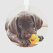 Chocolade Labrador Puppy met Speelgoed Duck Ornament (achterkant)