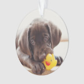 Chocolade Labrador Puppy met Speelgoed Duck Ornament (voorkant)