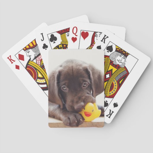 Chocolade Labrador Puppy met Speelgoed Duck Pokerkaarten (Achterkant)