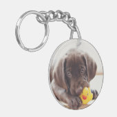 Chocolade Labrador Puppy met Speelgoed Duck Sleutelhanger (Voorkant Links)