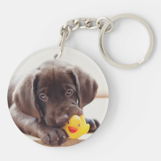 Chocolade Labrador Puppy met Speelgoed Duck Sleutelhanger (Achterkant)
