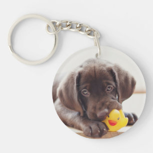 Chocolade Labrador Puppy met Speelgoed Duck Sleutelhanger