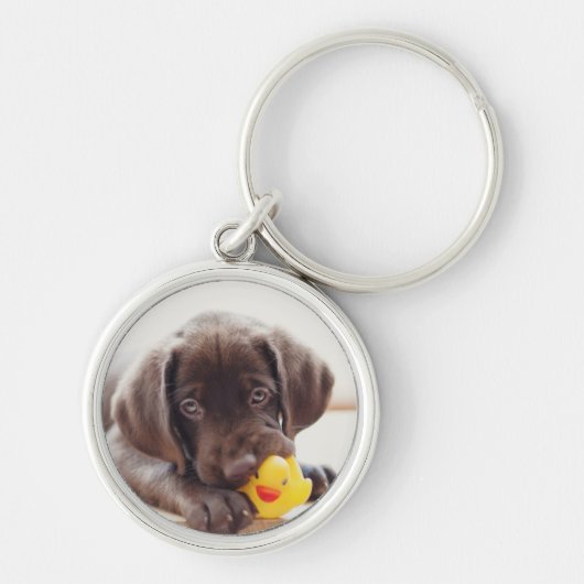 Chocolade Labrador Puppy met Speelgoed Duck Sleutelhanger (Voorkant)