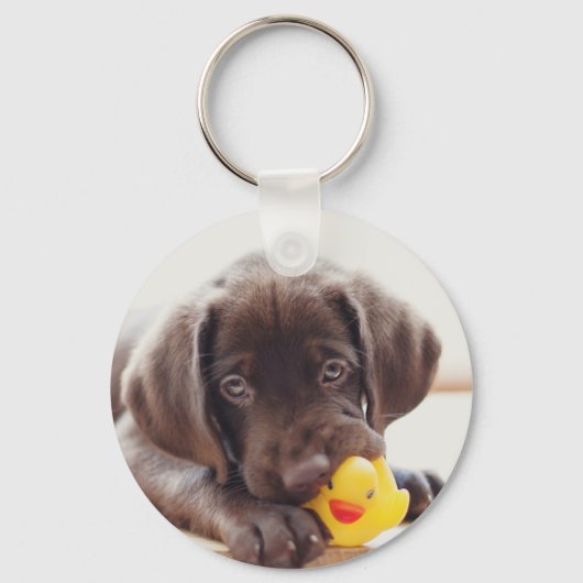 Chocolade Labrador Puppy met Speelgoed Duck Sleutelhanger (Voorkant)